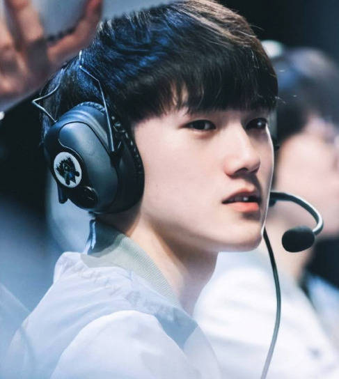 这种政策导 这种政策导