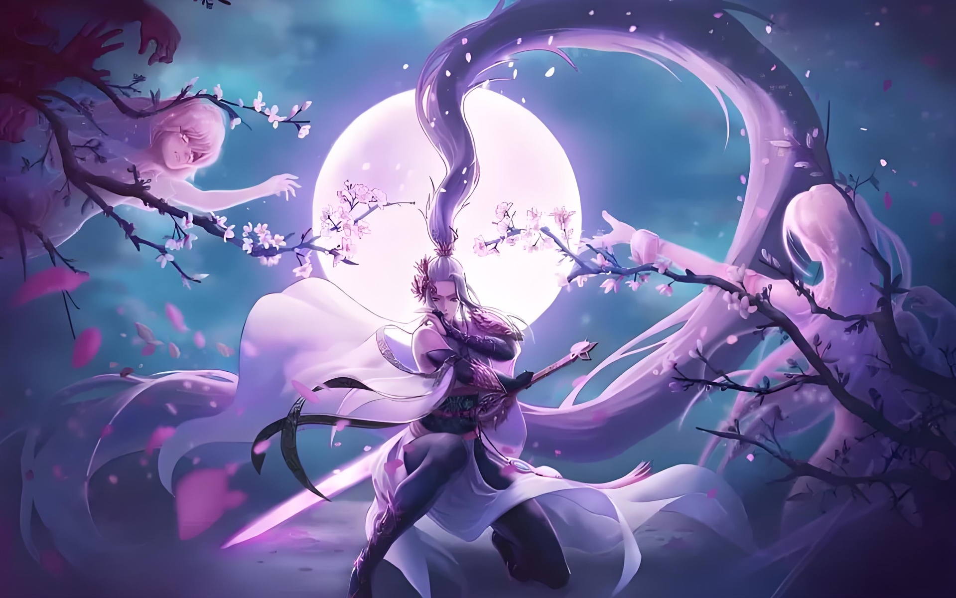 功能区域 功能区域